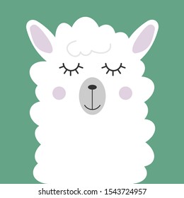 Cute white fluffy llama vector illustration