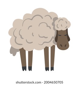 Cute White Fluffy Sheep Farm Animal, Livestock Cartoon Vector Illustration