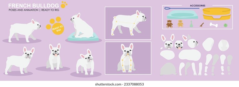 Cute White franz Bull Hund Vektorgrafik von Posen mit mehreren Winkeln und Zubehör. Welpen, schlafen, sitzen, gehen, beliebte Hunde