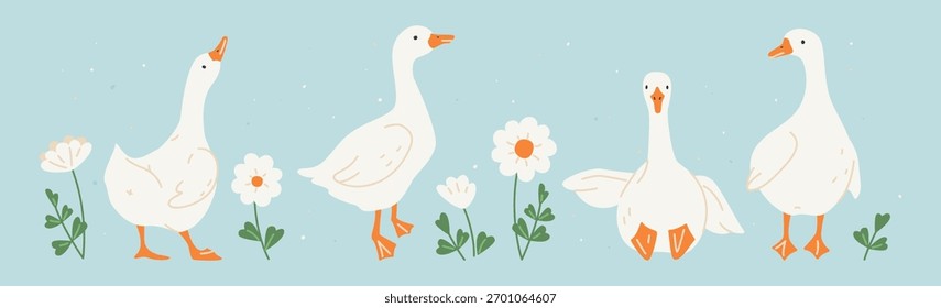 Cute white geese or ducks and camomile flowers. Hand drawn farm animals geese with decorative floral elements. Vector illustration for baby shower, Easter, nursery, t-shirt logo, card, poster, invitat