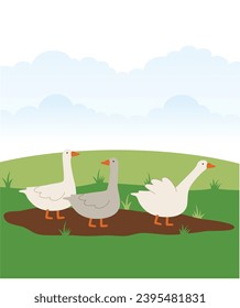 süße weiße Gänse. Vektorgrafik von Gänsen