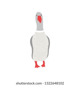 Cute White Goose Cartoon Character Front View Vector Illustration