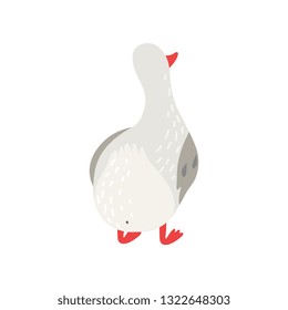 Cute White Goose Cartoon Character Back View Vector Illustration