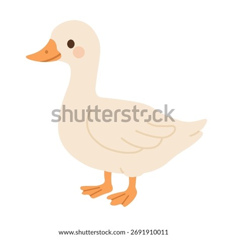 Cute white goose standing, flat vector cartoon illustration, isolated domestic farm bird