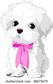 A cute white Havanese puppy posing with pink ribbon