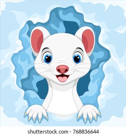 Cute white Least Weasel out of the snow hole 