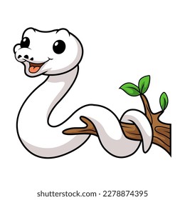 Cute white leucistic ball python snake cartoon on tree branch