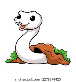 Cute white leucistic ball python snake cartoon out from hole
