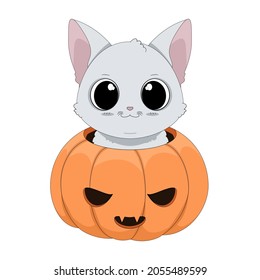 Cute white little cat in carved pumpkin. Adorable hand drawn kitty, funny Halloween vector illustration isolated on white background.