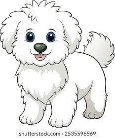 Cute white little fluffy puppy