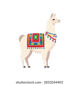 Cute White Llama with Colorful Peruvian Traditional Blanket and Tassels Isolated on White Background