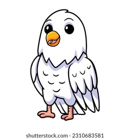 Cute white love bird cartoon
