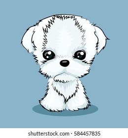 cute white maltese dog fluffy funny isolated 