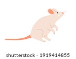 Cute white mouse standing on back paws and sniffing. Rat with long tail and little ears. Childish animal character. Colored flat vector illustration isolated on white background