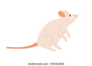 Cute white mouse standing on back paws and sniffing. Rat with long tail and little ears. Childish animal character. Colored flat vector illustration isolated on white background