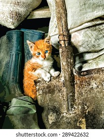 Cute white and orange kitten sitting in old barn. Vector eps10.
