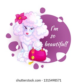 Cute white poodle with a fashionable pink handbag and flower. Vector funny characters.