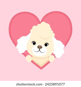 Cute white poodle peeking out of a heart
