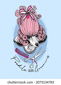 Cute white Poodle in the pink hairstyle with the Grooming Accessory. Humor composition, hand drawn style print. Vector illustration.