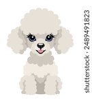 Cute white poodle puppy. Vector isolated illustration.