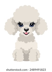 Cute white poodle puppy. Vector isolated illustration.