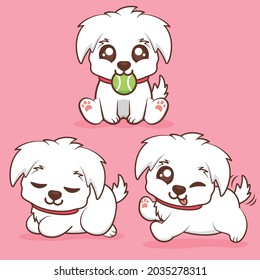 cute white puppy with different poses
