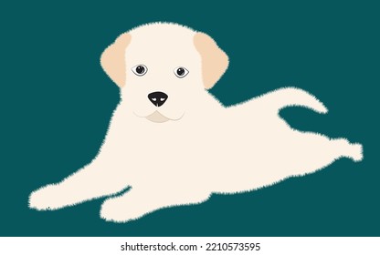 Cute white puppy.  Vector illustration of dog breed set in flat style.  Vector illustration isolated ondark blue background,Cute dog. Love dog, cartoon pet dogs. cartoon funny dogs