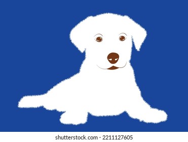 Cute white puppy.  Vector illustration of dog breed set in flat style.  Vector illustration isolated on blue background,Cute dog. Love dog, cartoon pet dogs. cartoon funny dogs