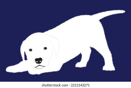 Cute white puppy.  Vector illustration of dog breed set in flat style.  Vector illustration isolated on purple background,Cute dog. Love dog, cartoon pet dogs. cartoon funny dogs