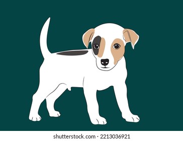 Cute white puppy.  Vector illustration of dog breed set in flat style.  Vector illustration isolated on dark green background,Cute dog. Love dog, cartoon pet dogs. cartoon funny dogs