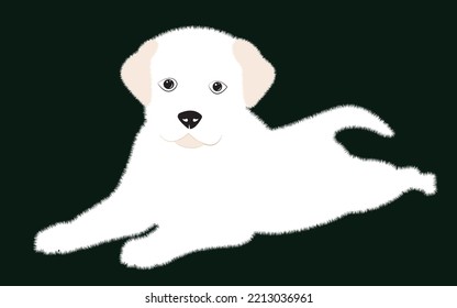 Cute white puppy.  Vector illustration of dog breed set in flat style.  Vector illustration isolated on dark background,Cute dog. Love dog, cartoon pet dogs. cartoon funny dogs
