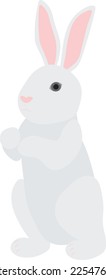 Cute white rabbit bunny vector illustration
