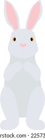 Cute white rabbit bunny vector illustration