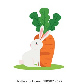 Cute white rabbit cartoon with carrot design, Animal life nature and character theme Vector illustration