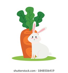 Cute white rabbit cartoon with carrot design, Animal life nature and character theme Vector illustration