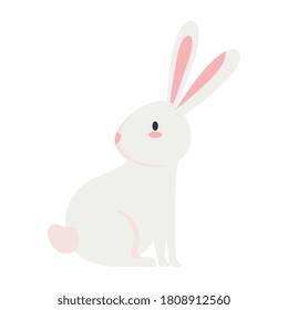 Cute white rabbit cartoon design, Animal life nature and character theme Vector illustration