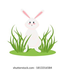 Cute white rabbit cartoon on green grass design, Animal life nature and character theme Vector illustration