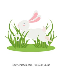 Cute white rabbit cartoon on green grass design, Animal life nature and character theme Vector illustration