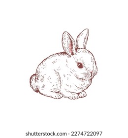 Cute white rabbit, hand drawn sketch vector illustration isolated on white background. Animal drawing with engraving texture. Fluffy Easter bunny.