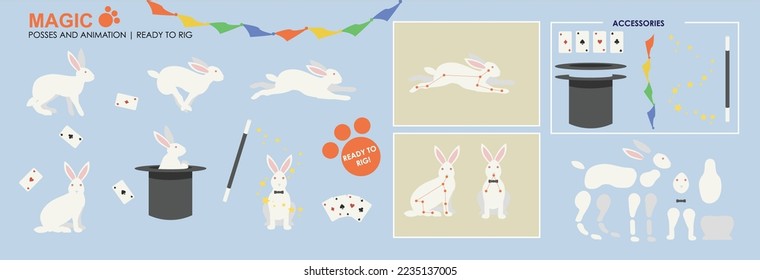 Cute white rabbit, magic rabbit in hat with accessories ready for animation vector, collection of multiple poses and positions. Rigging example character animation bunny rabbit magicians assistant.	