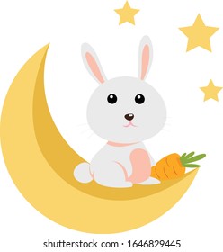 cute white rabbit in the moon