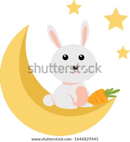 cute white rabbit in the moon