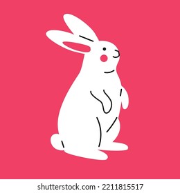 Cute white rabbit on bright color background. Symbol of lunar year 2023