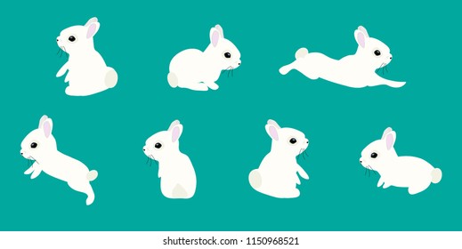 Cute White Rabbit Poses Cartoon Vector Illustration. Little cute bunnies.