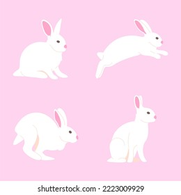 Cute White Rabbit, Stock Photos Vectors design