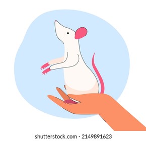 Cute white rat character sitting on hand. Person holding adorable rodent flat vector illustration. Pet, animals, wildlife concept for banner, website design or landing web page
