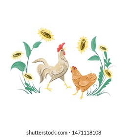 Cute white rooster and brown chicken near sunflower