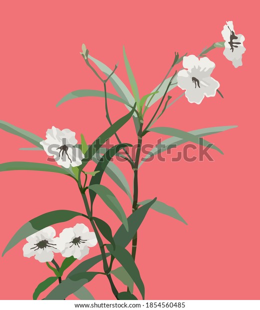 パステルピンクの背景にかわいい白いルリアの花 単純な平らな花の植物イラスト アジアの夏のビビ のベクター画像素材 ロイヤリティフリー