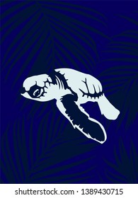 Cute white sea turtle with palms leaves. Abstract background with interesting underwater animal.