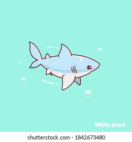 Cute white shark illustration and bubbles.